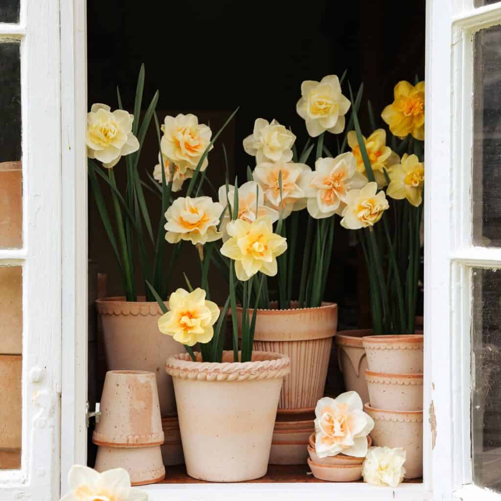 Bers Potter-kruka-terrakotta-EMILIA-Hemlängtan