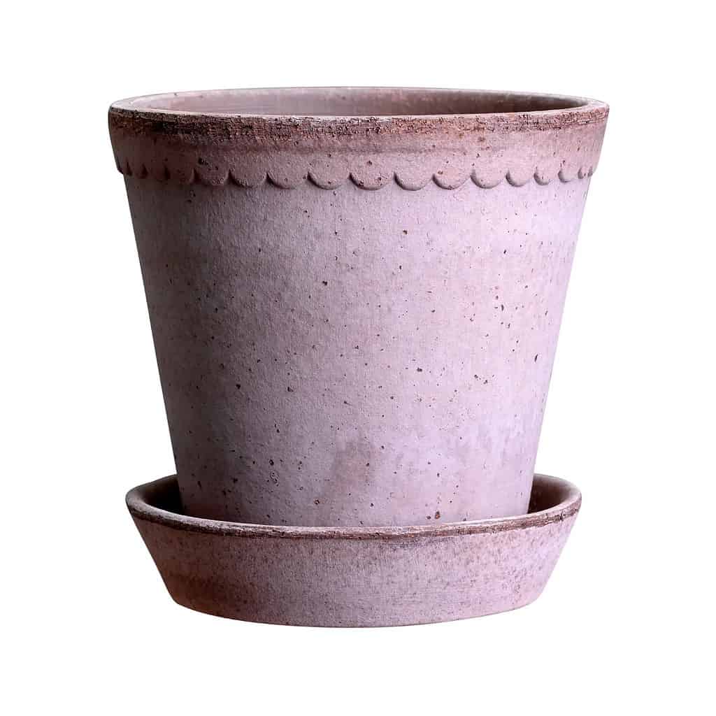 Helena kruka grå Bergs Potter