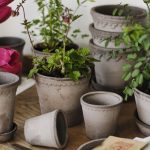 Helena-kruka-grå-Bergs Potter-4