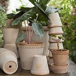 Samling av Helena krukor i olika storlekar från Bergs Potter, några med gröna växter, arrangerade på ett träbord utomhus.