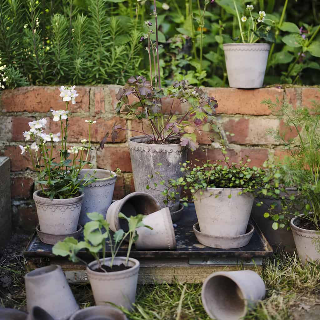 Köpenhamn-kruka-grå-Bergs Potter-4