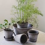 Helena kruka grå Bergs Potter