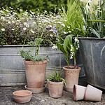 Helena-kruka-terrakotta-hög-Bergs Potter-2