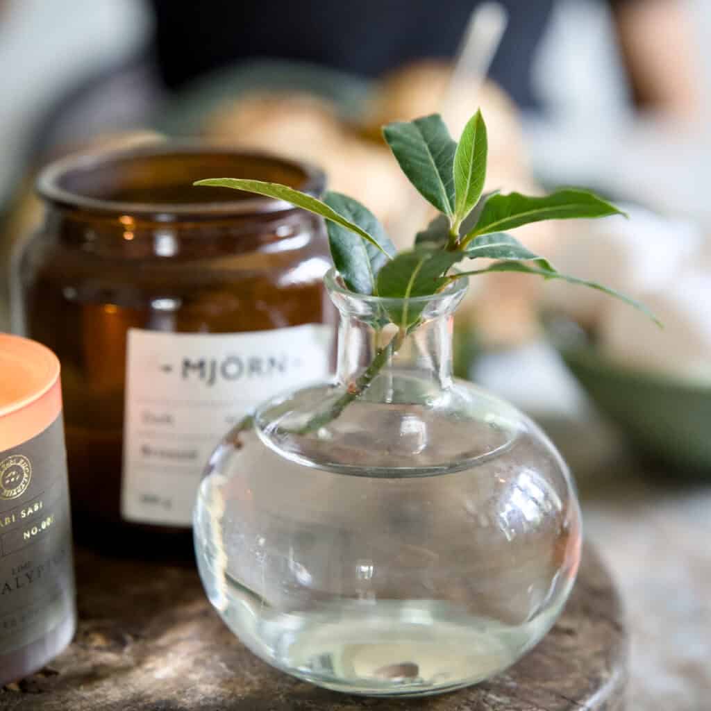 Liten rund glasvas Romance från Hemlängtan med en grön kvist i vatten