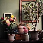 Krukan Simona i terrakotta från Bergs Potter i en interiörmiljö med blommor och växter på en hylla.