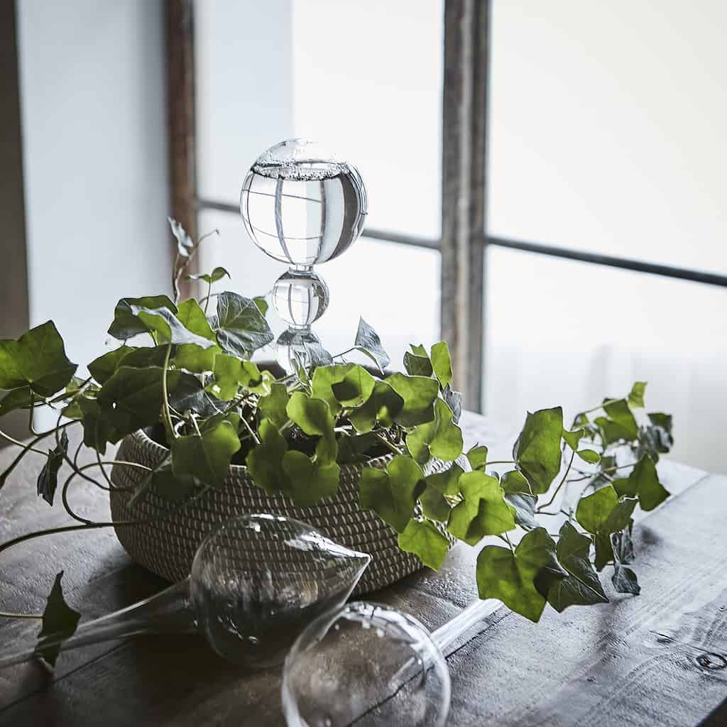 bevattningskula OLIVIA Affari of Sweden