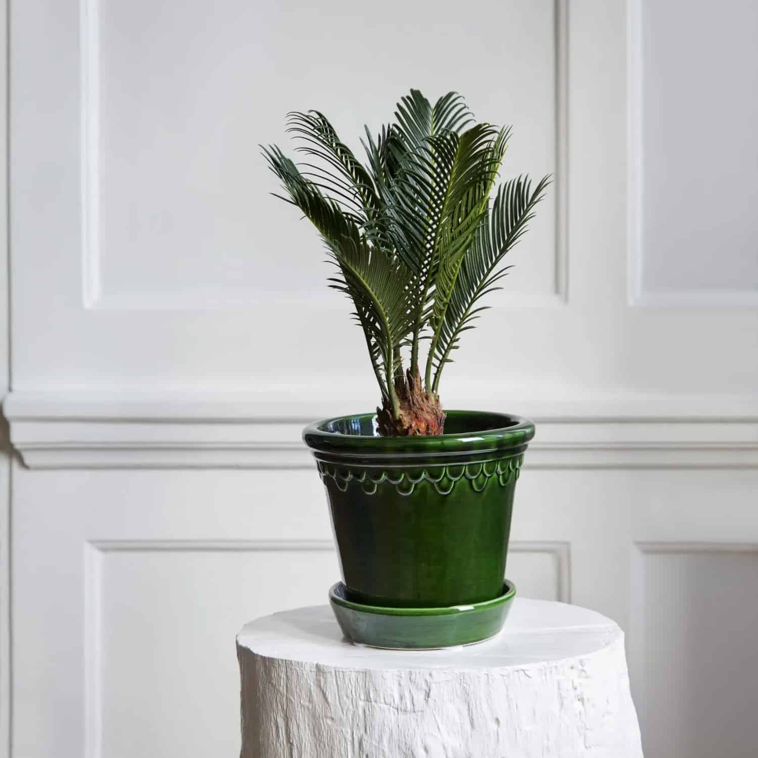 Köpenhamn-kruka-grön-BergsPotter