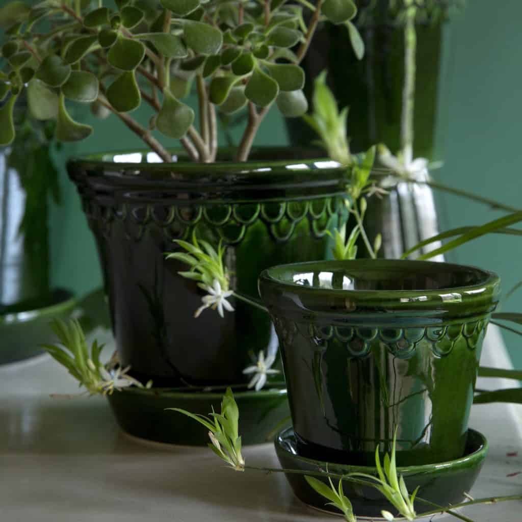 terrakottakruka Köpenhamn grön Bergs Potter