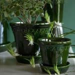 terrakottakruka Köpenhamn grön Bergs Potter