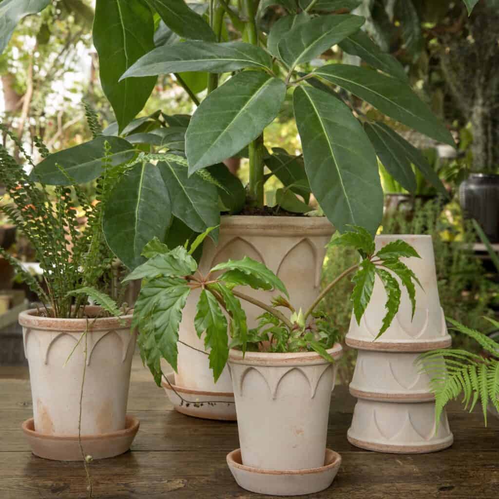 Bergs Potter-Elizabeth-kruka-terrakotta-1-Hemlängtan