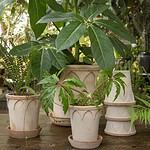 Bergs Potter-Elizabeth-kruka-terrakotta-1-Hemlängtan