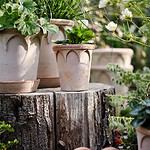 Bergs Potter-Elizabeth-kruka-terrakotta-2-Hemlängtan