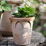 Bergs Potter-Elizabeth-kruka-terrakotta-3-Hemlängtan