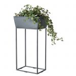 kruka Thomas grå Affari