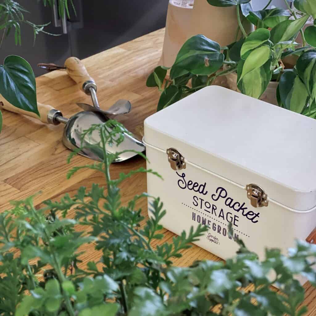 Cremevit förvaringsburk för fröpåsar från Burgon & Ball, placerad på ett bord omgivet av gröna växter och trädgårdsredskap.
