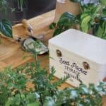 Cremevit förvaringsburk för fröpåsar från Burgon & Ball, placerad på ett bord omgivet av gröna växter och trädgårdsredskap.