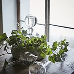 blomvattnare DROPPE Affari of Sweden