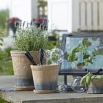 blomvattnare Wikholm form