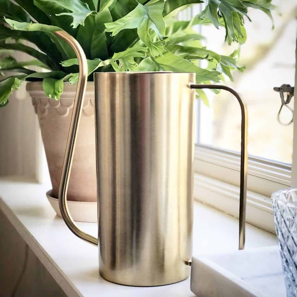 Elegant mässingsfärgad vattenkanna Elm från Nordal i fönster, placerad framför en dekorativ terrakottakruka med grön växt.
