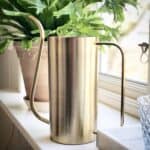 Elegant mässingsfärgad vattenkanna Elm från Nordal i fönster, placerad framför en dekorativ terrakottakruka med grön växt.