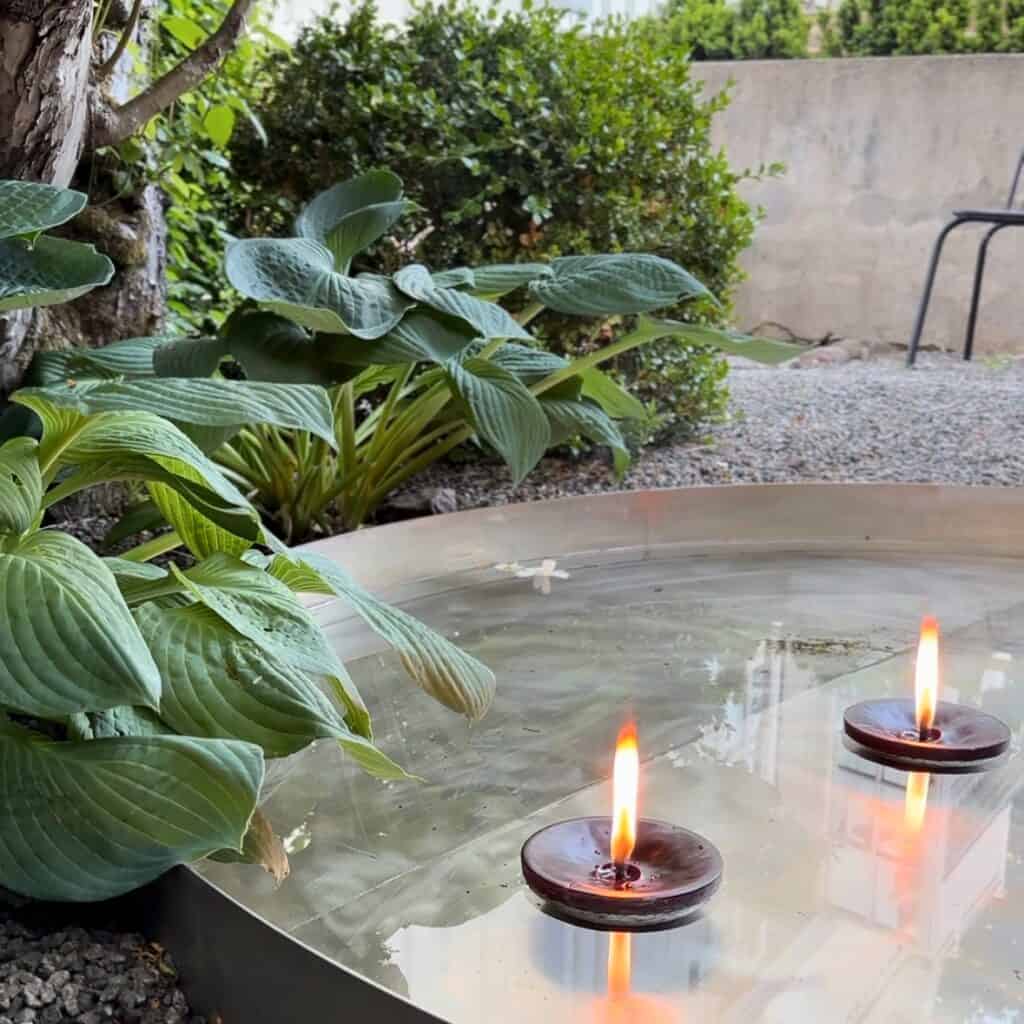 Svarta flytljus från Affari of Sweden i en damm, omgivna av gröna växter i en trädgård.