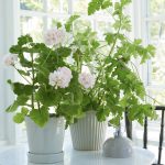 kruka ASTRID vit Wikholmform