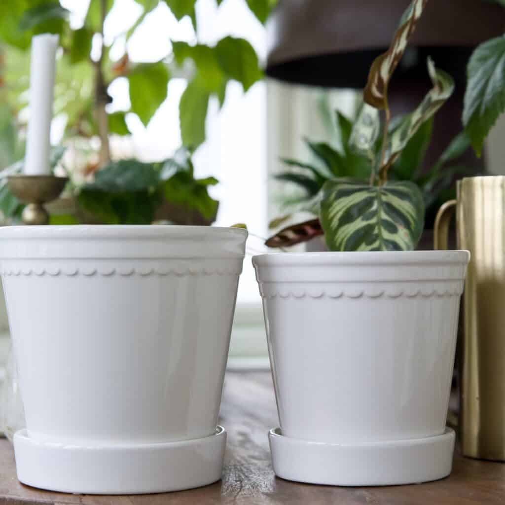 Närbild på två vita krukor i keramik av modellen Astrid från Wikholm Form. Krukorna har en dekorativ vågformad kant och står på matchande fat. De är placerade på ett bord, omgivna av gröna växter och inredningsdetaljer i en hemtrevlig miljö.