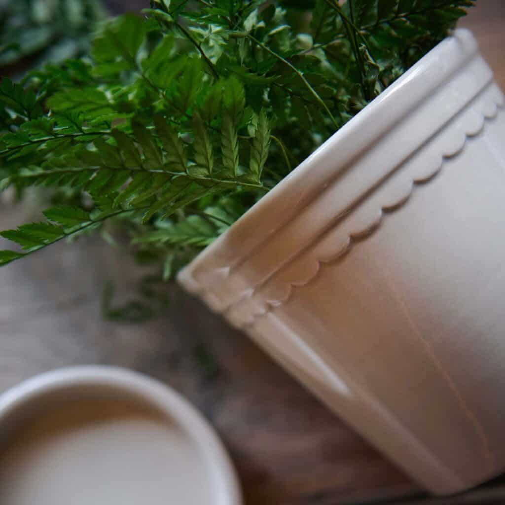 Detaljbild av vit blomkruka ASTRID med dekorativ kant och grön växt