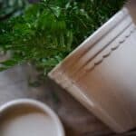 Detaljbild av vit blomkruka ASTRID med dekorativ kant och grön växt