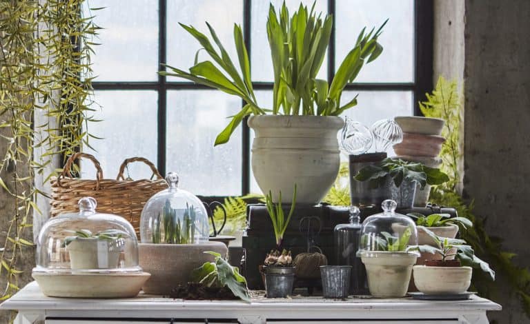 Att göra i trädgården – mars och april