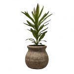 terrakottakruka Camille Affari