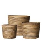 Produktbild på korg i rotting från varumärket Wikholm form.