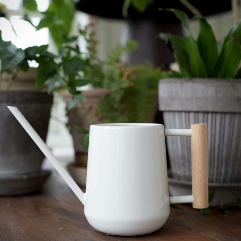 7151-555--2-vattenkanna-sandfärgad-burgon-ball