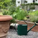 Grön vattenkanna i förzinkad plåt från GardenMind placerad på en grusgång bredvid en terrakottakruka och ett trädgårdsland fyllt med grönsaker och örter.