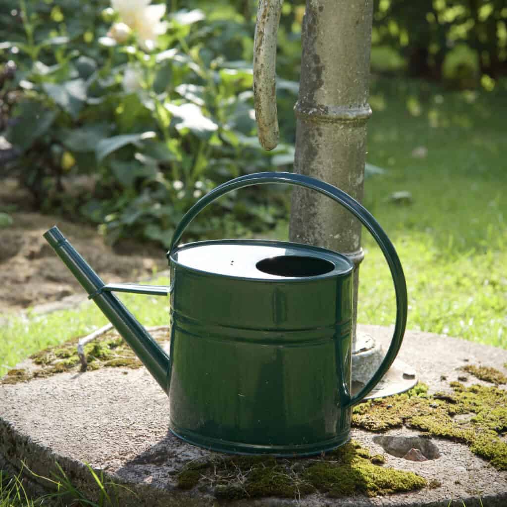 Grön vattenkanna i metall – klassisk och hållbar design för trädgården, placerad vid gammaldags vattenpump.
