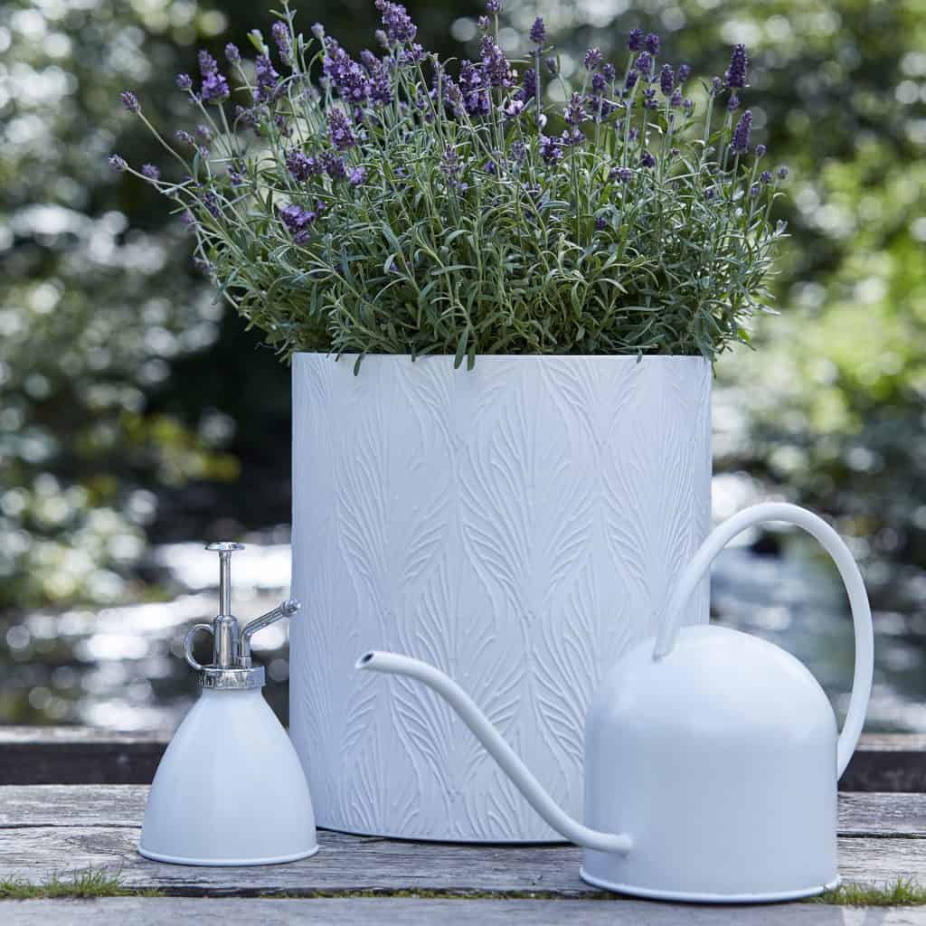 74327-2-vattenkanna-Daisy-vit-Wikholmform