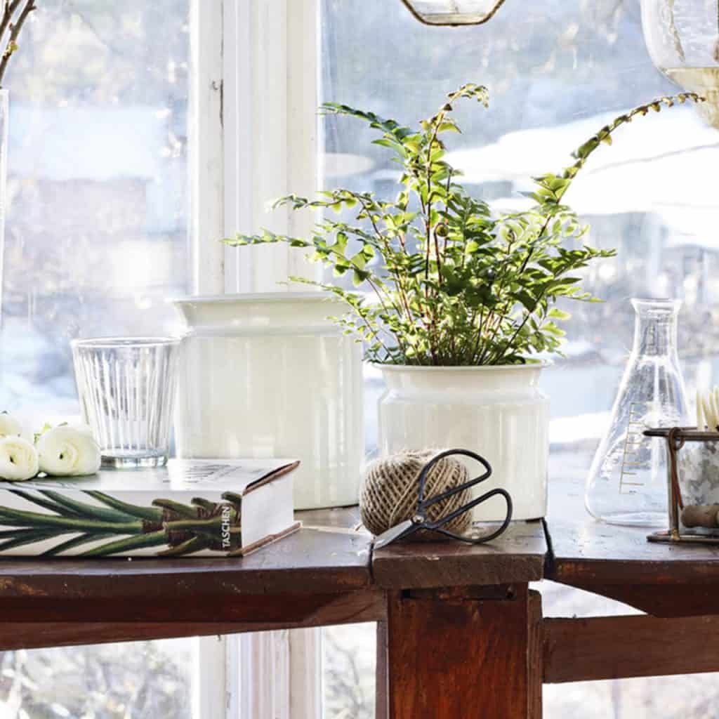 jutesnöre natur Strömshaga