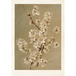 vintage poster mandelblom Sköna Ting