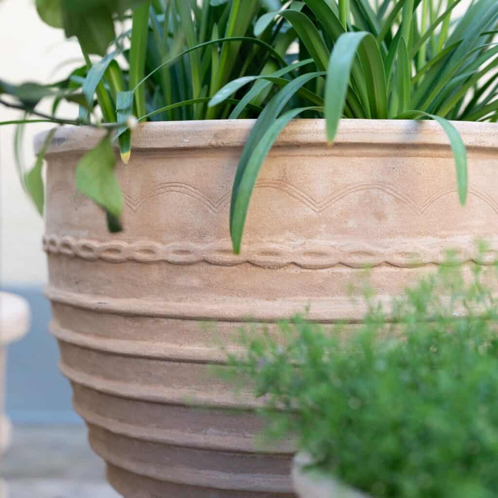 Detalj av Talia terrakottakrukor för utomhusbruk från Wikholm Form med mönstrad kant och grön växt.