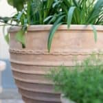 Detalj av Talia terrakottakrukor för utomhusbruk från Wikholm Form med mönstrad kant och grön växt.