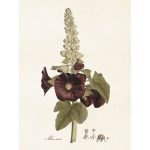 vintage poster STOCKROS Sköna Ting