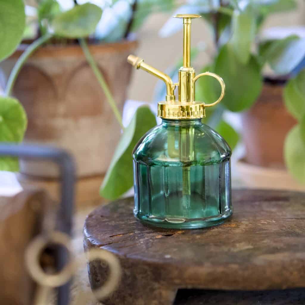 Elegant blomspruta i grönt glas med guldfärgad pump, placerad på en rustik träyta med gröna växter i bakgrunden. Perfekt för att ge dina växter en fräsch dusch.