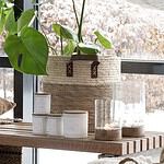 Doftljus från Wikholm Form i olika dofter, inklusive Verbena och Sea Salt, placerade på ett träbord bredvid en stor grön växt i en flätad korg. Stämningsfullt inomhusarrangemang med ljus och naturmaterial.