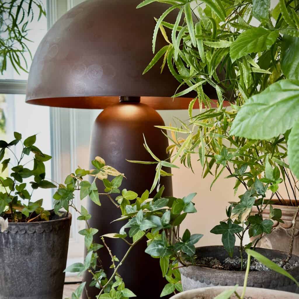 Bordslampan Fungi i rostfärgat från Affari of Sweden, omgiven av gröna växter, står på ett bord nära ett fönster.