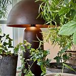 Bordslampan Fungi i rostfärgat från Affari of Sweden, omgiven av gröna växter, står på ett bord nära ett fönster.