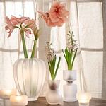 Flera frostad glasvaser med hyacinter och amaryllis arrangerade på ett bord med tända ljus i bakgrunden, vilket skapar en varm och inbjudande stämning.