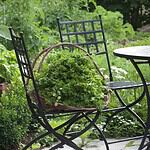 Trädgårdsstolen VENICE från Wikholm form, svart metall, med en korg fylld med färska örter, placerad i en grönskande trädgård bredvid ett bord.