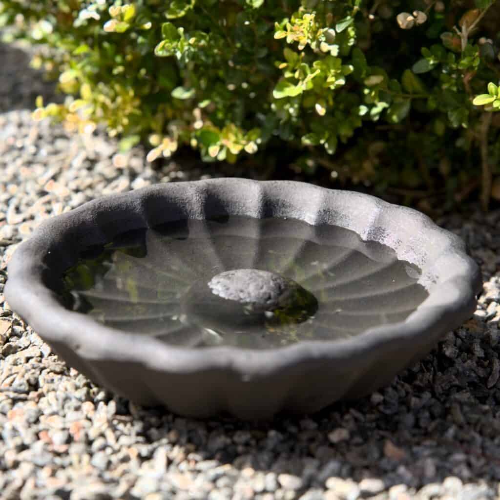 Närbild av brunmelerat Talia fågelbad i naturlig trädgårdsmiljö, fylld med klart vatten som reflekterar solens strålar.