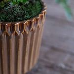 05260-3-kruka-WILMA-beige brun-Wikholm form