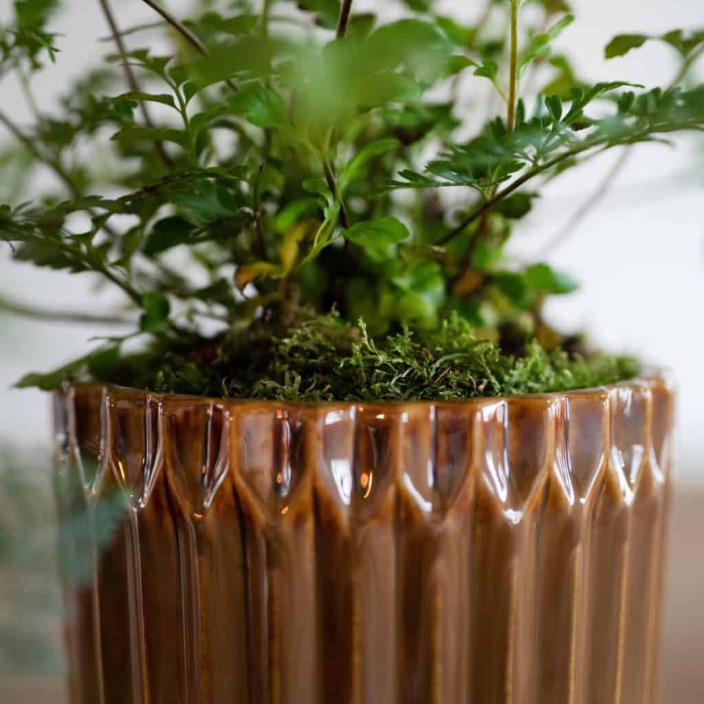 05260-4-kruka-WILMA-beige brun-Wikholm form